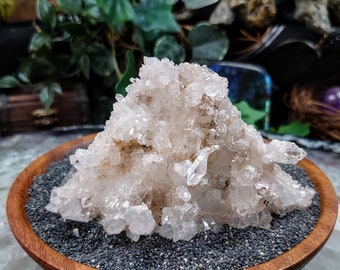 Natural Colombian Clear Quartz Cluster / 216g / for Crystal Healing / Home and Altar Decor / Small Cabinet Size