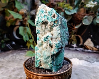 234g Natural Chrysocolla with Druzy on Matrix for Home and Altar Decor / Energy Work / Crystal Healing / Collection / Gifting for Her & Him