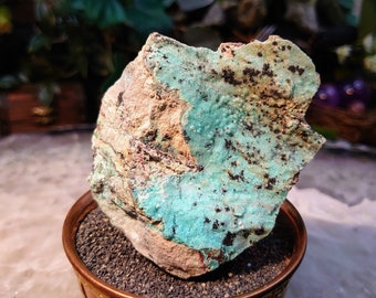 Natural Chrysocolla Druzy with Psilomelane on Matrix for Home and Altar Decor / 161g / Crystal Healing / Collection / Gifting for Her & Him