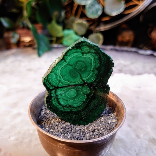 Small Malachite Polished Slice from Kasompe, Congo for Home and Altar Decor / 199.20ct / Collection / Crystal Healing / Gifting