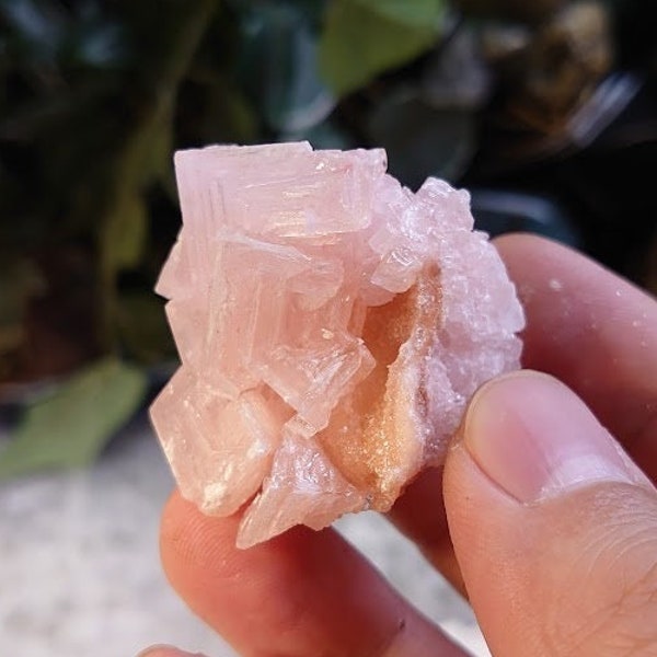 Natural Pink Halite Crystal from California, USA for Crystal Healing / 22.03g / Salt Formation / Altar and  Home Decor / Collection