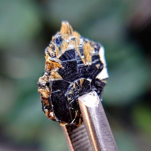 6.15ct Golden Rutile with Hematite from Novo Horizonte, Bahia, Brazil / Thumbnail Size / Collection / Whaaaaaat?!
