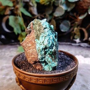 94g Natural Chrysocolla with Malachite and Druzy on Matrix for Home and Altar Decor / Energy Work / Crystal Healing / Collection