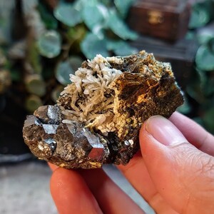 Può includere: Un gruppo di cristalli grigi e neri con un minerale bianco e cristallino in cima. I cristalli sono in una mano.