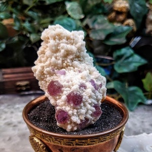 Purple Fluorite Cluster on Aragonite Matrix From La Navidad Mine, Mexico for Altar Decor / 170g / Small Cabinet Class / Collection