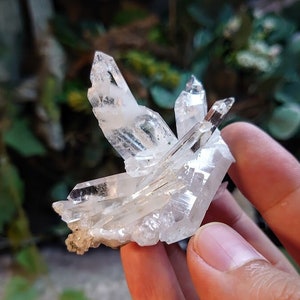 Awesome Colombian Clear Quartz Cluster with Chlorite for Collection / 45g / Natural Clear Quartz / Crystal Grids/ Meditation