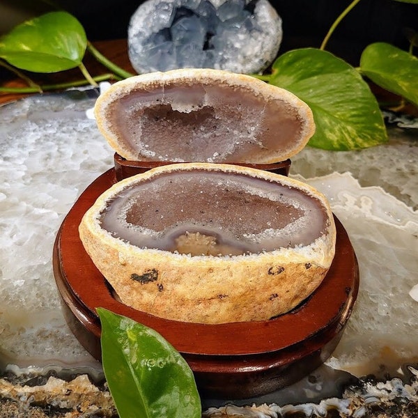 Chalcedony Geode - Etsy
