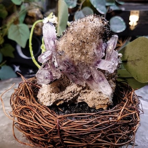 256g Guerrero Amethyst Clusters on Quartz Matrix with Hematite Inclusions from Amatitlán, Eduardo - Mexico for Unique Collection