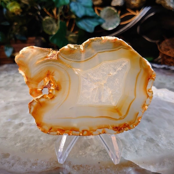 4" Iris Agate Slice from Indonesia for Gemstone Home and Altar Decor/ Crystal Healing and Reiki