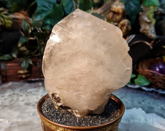 Hermoso Cristal de Calcita de la Mina Moscona, España para Colección / 422g / Decoración de Altar / Meditación / Clase de Tamaño de Gabinete