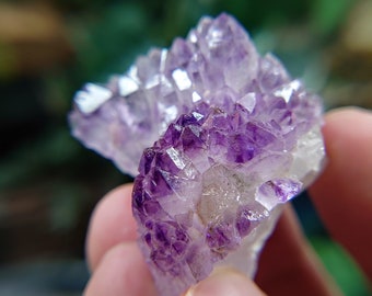 Grappe d'améthyste de Karur, Inde pour la méditation / 33,10 g / Collection / Décoration d'autel