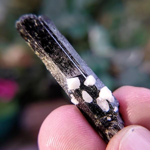 1 3/4&quot; Glossy Black Aegirine Crystal with Feldspar from Malawi, Africa for Crystal Healing / 4.18g / Home & Altar Decor