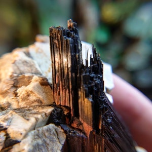 May include: Close-up of a black and brown mineral specimen with a rough, textured surface. The mineral has a layered, striated appearance, with a sharp, pointed edge.