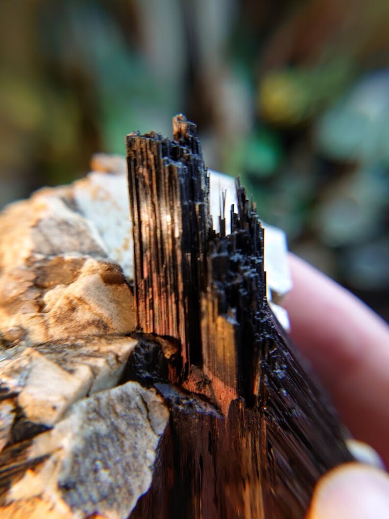 May include: Close-up of a black and brown mineral specimen with a rough, textured surface. The mineral has a layered, striated appearance, with a sharp, pointed edge.
