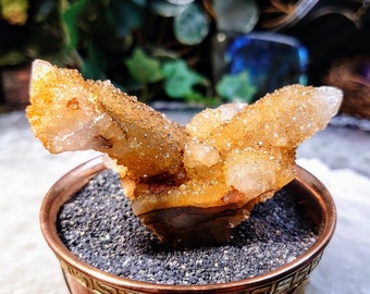 南アフリカ産サンシャイン スピリット クォーツ クラスター / 105.17g