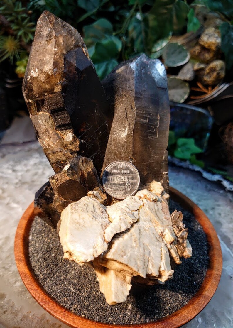 May include: A cluster of smoky quartz crystals with a white mineral base, displayed on a wooden bowl with black sand. A US quarter is included for scale.
