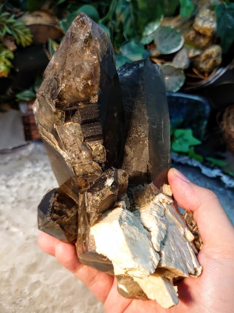 May include: A large cluster of smoky quartz crystals with a natural, rough texture. The crystals are a dark brown color and have a translucent appearance. The cluster is resting on a bed of white, chalky material.