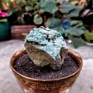 Natural Chrysocolla with Druzy on Matrix for Home Decor / 94.35g / Energy Work / Crystal Healing / Collection / Gifting for Her & Him
