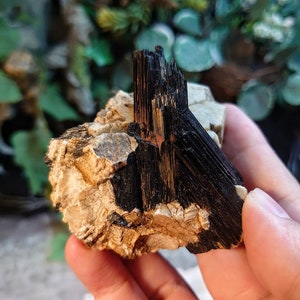 May include: A black tourmaline crystal cluster with a rough, natural texture. The crystal is embedded in a white and brown matrix.