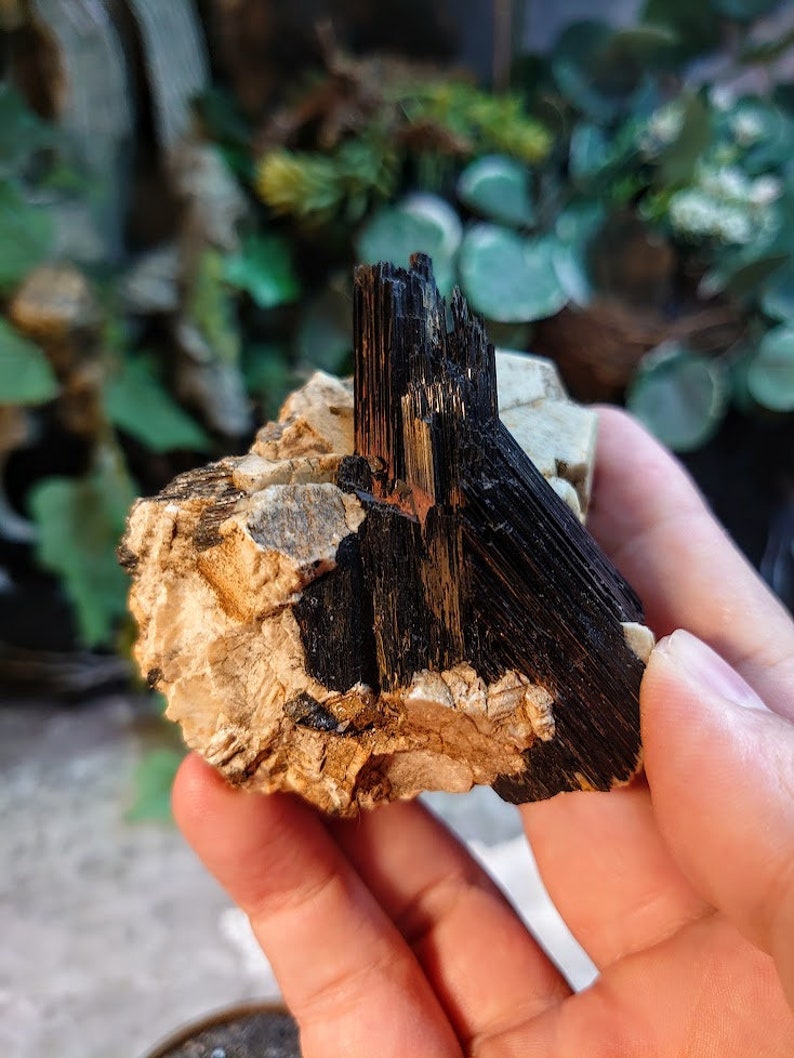 May include: A black tourmaline crystal cluster with a rough, natural texture. The crystal is embedded in a white and brown matrix.