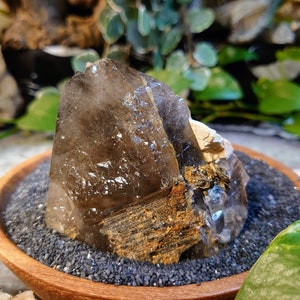 286g Natural Smoky Quartz Cluster with Heavy Etching from Malawi, Africa for Collection / Home & Altar Decor / Protection / Crystal Healing