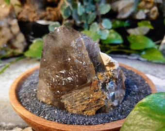 286g Natural Smoky Quartz Cluster with Heavy Etching from Malawi, Africa for Collection / Home & Altar Decor / Protection / Crystal Healing