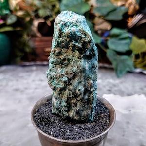 Chrysocolla with Malachite Crystals on Matrix for Home and Altar Decor / 43.92g / Small Cabinet Size / Crystal Healing / Collection