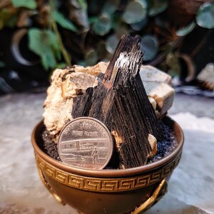 May include: A small, black and white crystal cluster sits in a gold-coloured, decorative bowl. The bowl has a Greek key design around the rim. A US quarter coin is placed in front of the crystal cluster for scale.