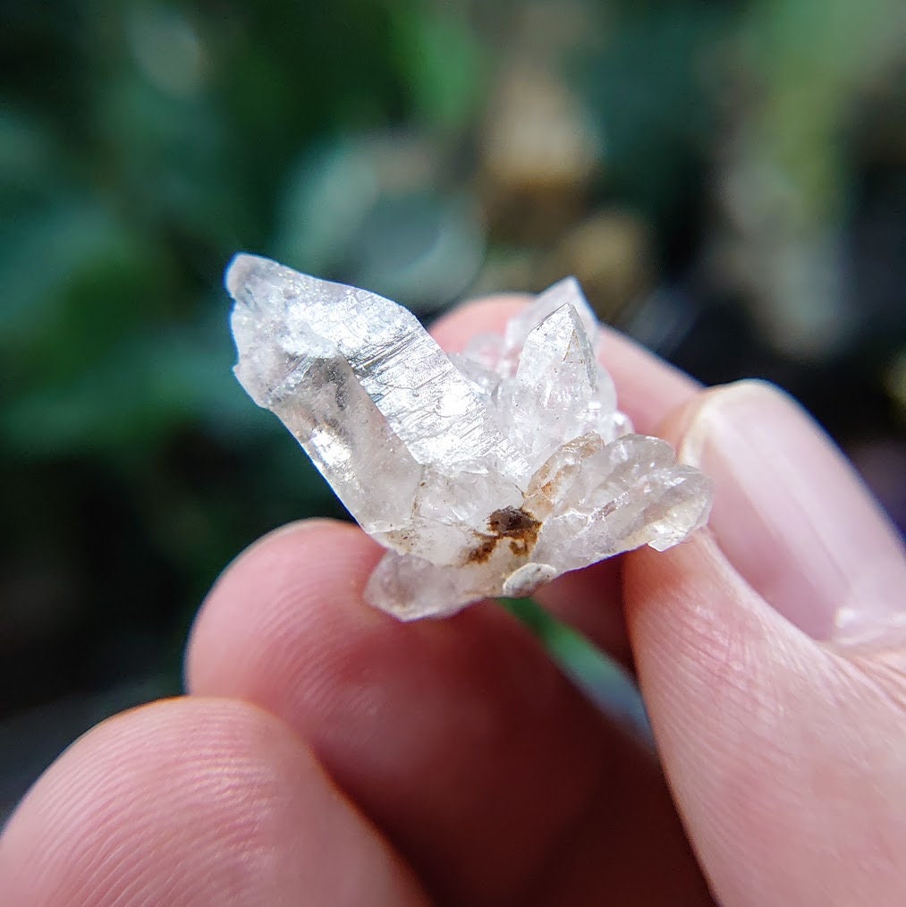 ナミビア産の小さな透明クォーツクラスター / 7.52g / サムネイル標本