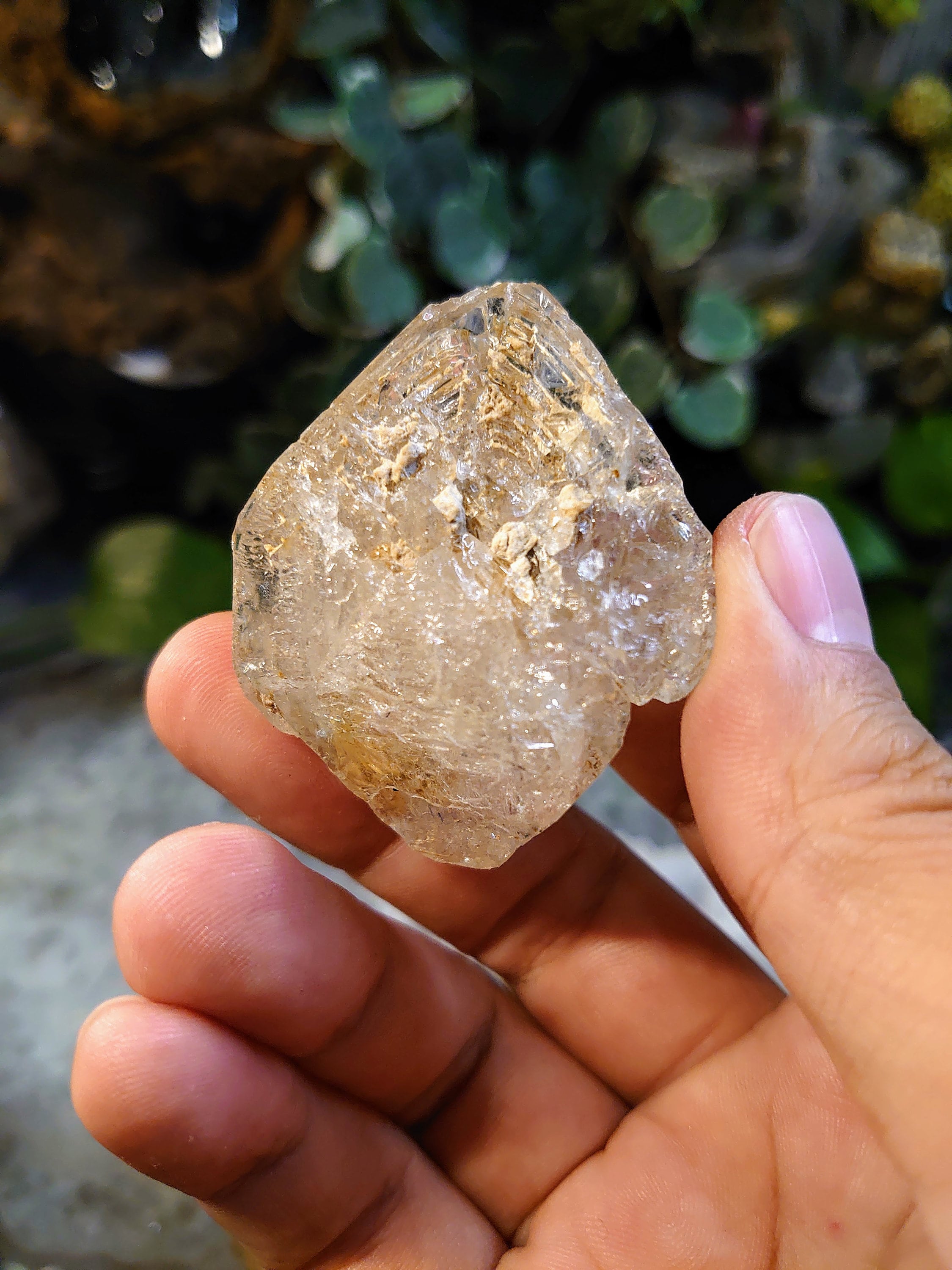 Punta de cuarzo de ventana esquelética de doble terminación de 61,42 g de  Pakistán para rejillas de cristal/colección - Etsy México, image size:2250x3000