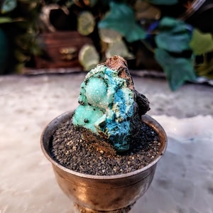Natural Chrysocolla and Malachite with Druzy on Matrix for Home Decor / 27.64g / Energy Work / Crystal Healing / Collection / Gifting