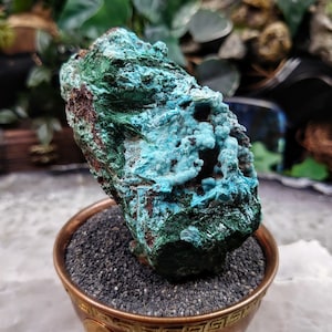 Beautiful Chrysocolla with Malachite and Druzy on Matrix for Home and Altar Decor / 220g / Small Cabinet Size / Crystal Healing / Collection