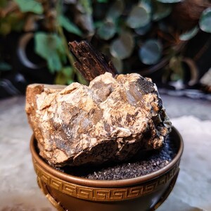 May include: A small, rough, light brown and grey rock with a dark brown, wooden-looking crystal on top, sitting in a gold-coloured bowl with a black, sand-like material.
