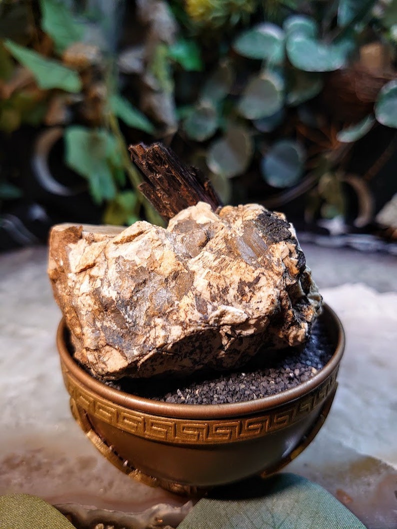 May include: A small, rough, light brown and grey rock with a dark brown, wooden-looking crystal on top, sitting in a gold-coloured bowl with a black, sand-like material.