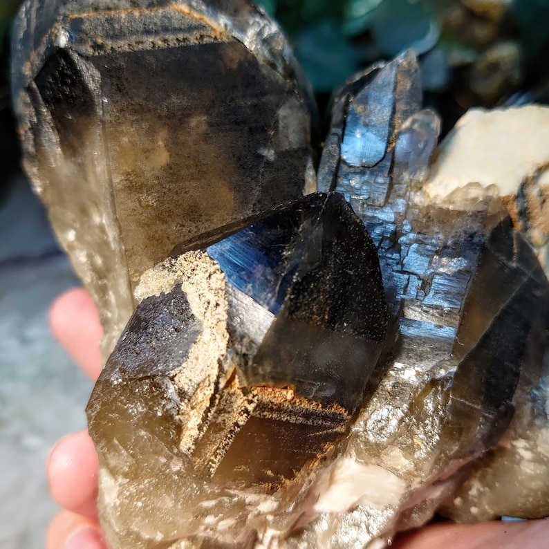 May include: A cluster of smoky quartz crystals with a dark, almost black, smoky quartz crystal in the center. The crystals are translucent and have a rough, natural texture.