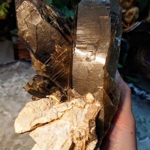 May include: A large, smoky quartz crystal cluster with a natural, rough base. The crystal is clear and has a golden hue. The crystal is on a white background.