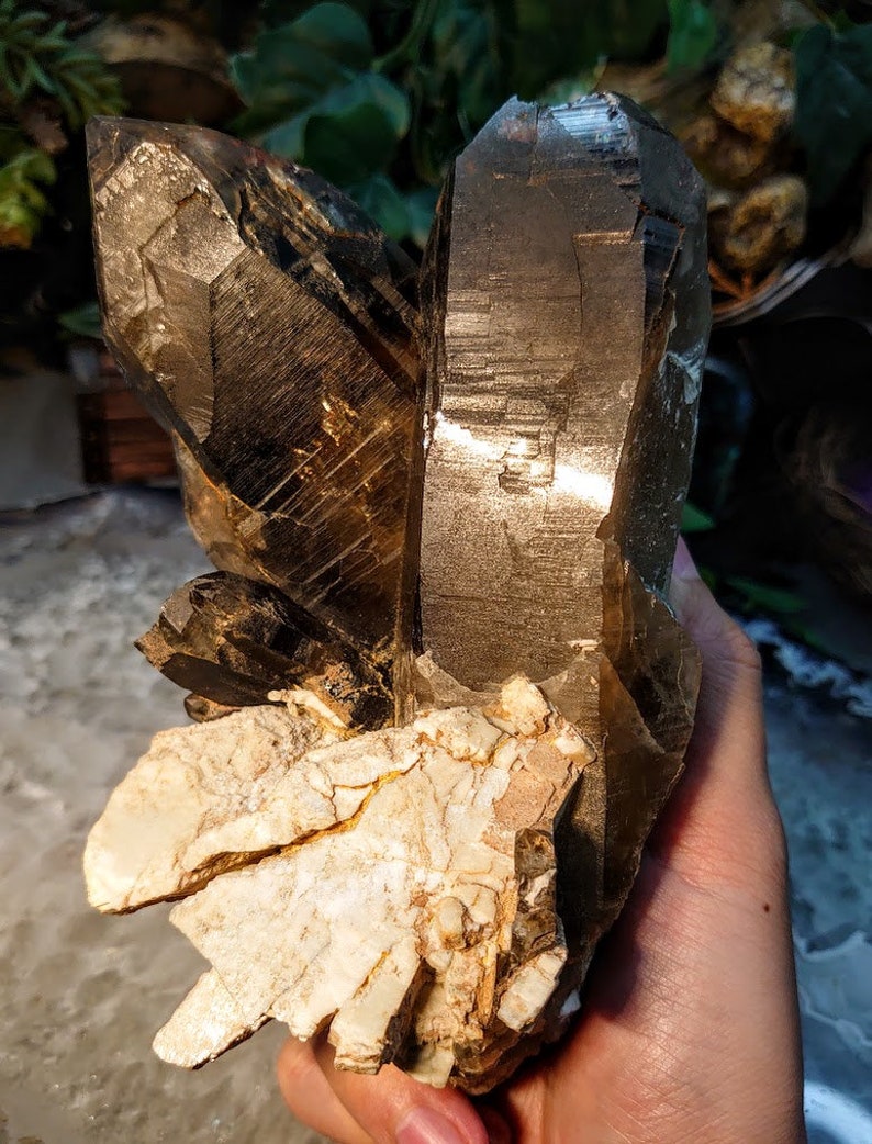 May include: A large, smoky quartz crystal cluster with a natural, rough base. The crystal is clear and has a golden hue. The crystal is on a white background.