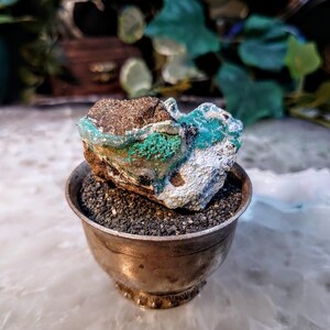 Natural Chrysocolla and Malachite with Druzy on Matrix for Home Decor / 37.65g / Energy Work / Crystal Healing / Collection / Gifting
