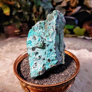 Natural Chrysocolla with Malachite and Druzy on Matrix from Kakanda, Congo for Home and Altar Decor / 122g / Crystal Healing / Collection
