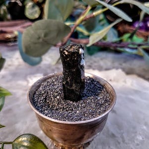 1.5&quot; Glossy Black Aegirine Crystal from Malawi, Africa for Crystal Healing / 11.92g / Home & Altar Decor