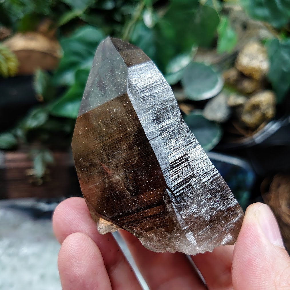 コレクション用アフリカマラウイ産天然スモーキークォーツポイント