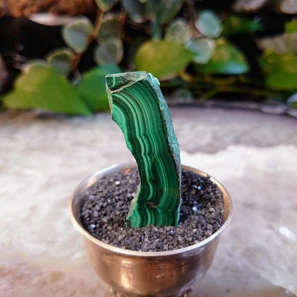 Small Malachite Polished Slice from Kasompe, Congo for Home and Altar Decor / Collection / Crystal Healing