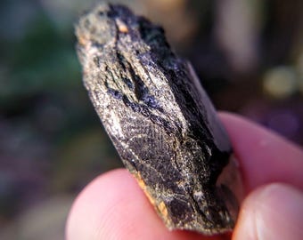 1.5" Glossy Black Aegirine Crystal from Malawi, Africa for Crystal Healing / 9.46g / Home & Altar Decor