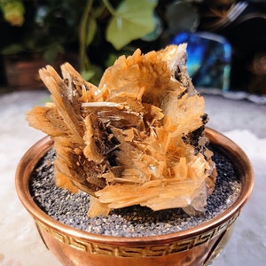 Barite &quot;The Blue Rose&quot; Crystal Flower from Morocco for Home and Altar Decor / 120g / Collection / Crystal Healing
