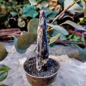Kyanite From Zambia - Etsy