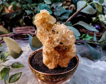 アフリカ、ザンビア産、石灰岩上の天然リモナイトゴールデンヒーラー