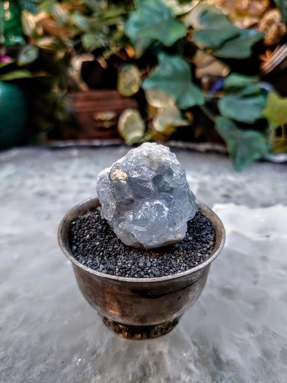 Small Celestite Cluster from Madagascar for Altar Decor Crystal  Healing Reiki Meditation Collectors Gifting