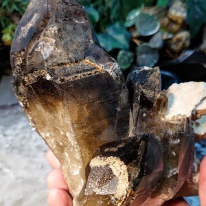May include: A large, smoky quartz crystal cluster with a dark brown to black color. The crystal has a natural, rough texture and is a beautiful example of this type of mineral.