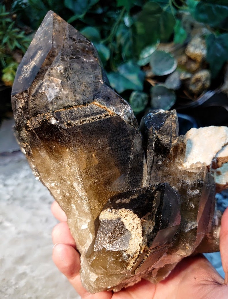 May include: A large, smoky quartz crystal cluster with a dark brown to black color. The crystal has a natural, rough texture and is a beautiful example of this type of mineral.
