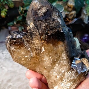 May include: A large, smoky quartz crystal cluster with a dark brown to black color. The crystal has a natural, rough texture and is translucent.